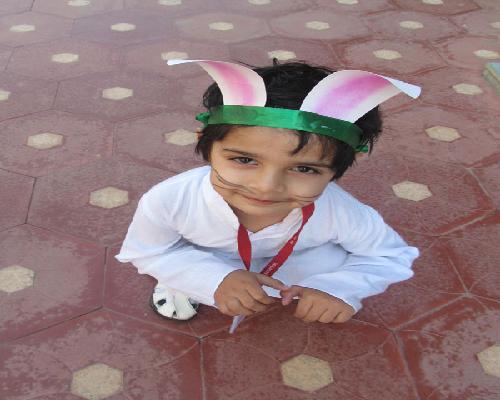 Rabbit race