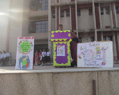 WORLD ANIMAL DAY CELEBRATION