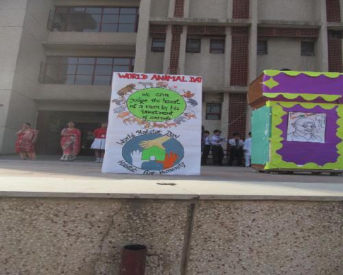WORLD ANIMAL DAY CELEBRATION