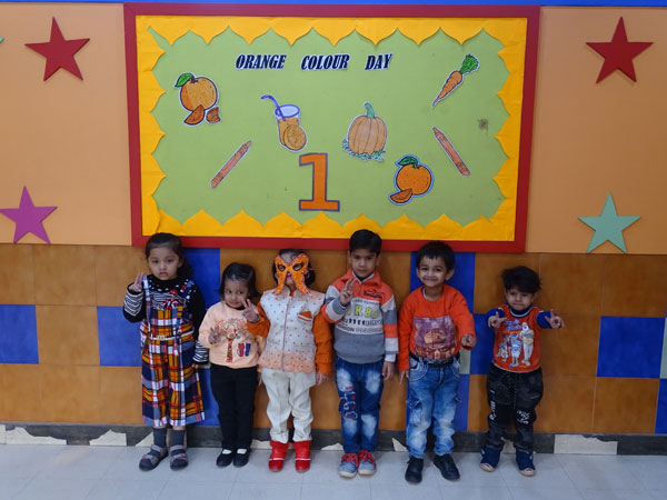 ORANGE COLOUR DAY