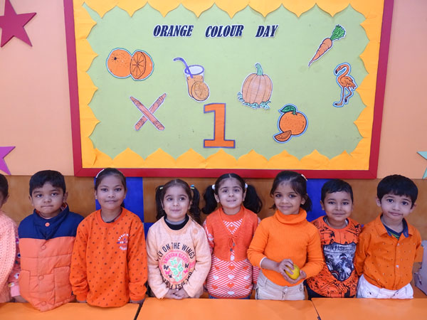 ORANGE COLOUR DAY
