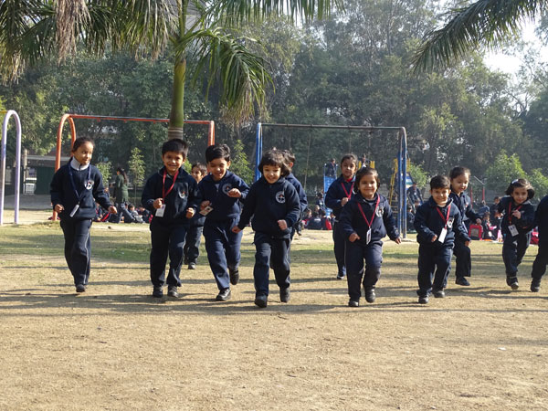   Excursion to the Park