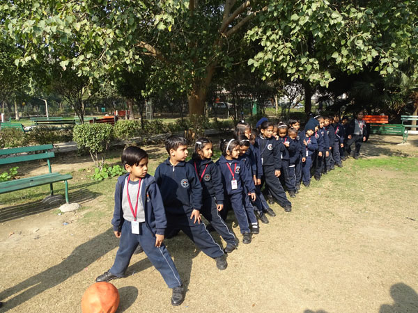   Excursion to the Park