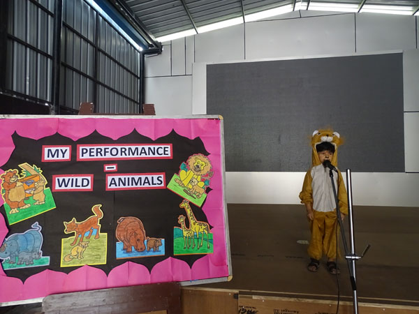 Activity on Wild Animals
