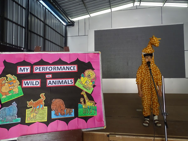 Activity on Wild Animals