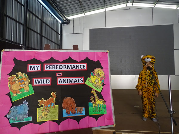 Activity on Wild Animals