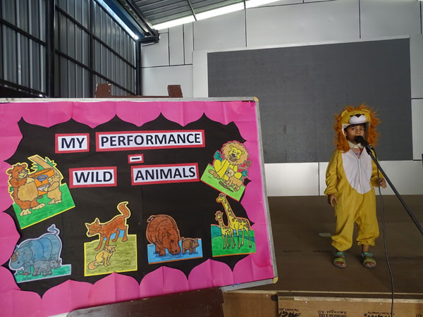 Activity on Wild Animals