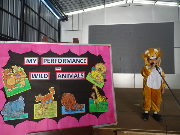 Activity on Wild Animals