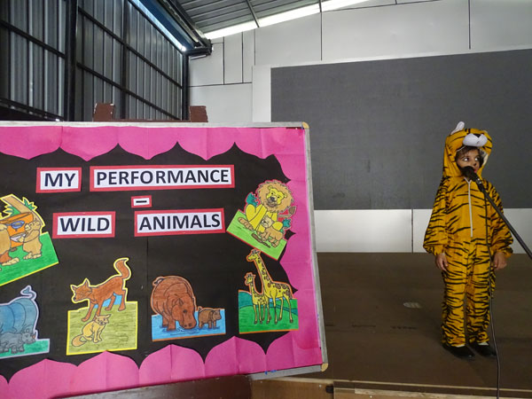 Activity on Wild Animals