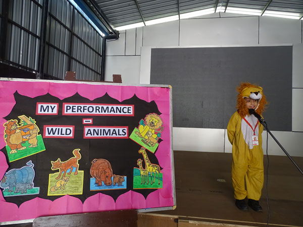Activity on Wild Animals