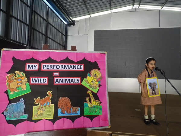Activity on Wild Animals
