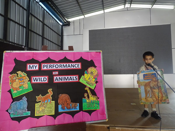 Activity on Wild Animals