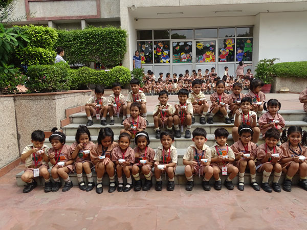 Journey of Ice Cream (SMA)