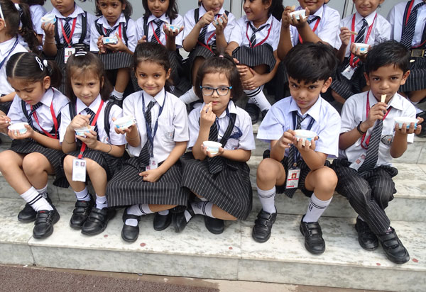 Journey of Ice Cream (SMA)