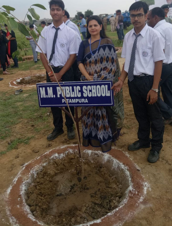 Massive Tree Plantation Drive