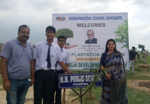 Massive Tree Plantation Drive