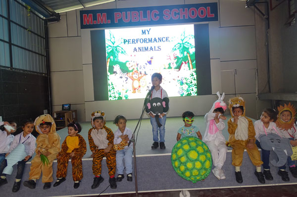 MY PERFORMANCE ANIMALS