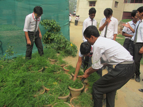 Swachhata Pakhwada-2019 