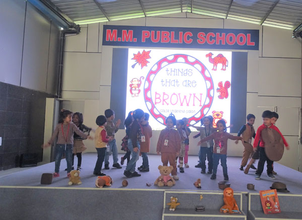 Brown Colour Day Celebration