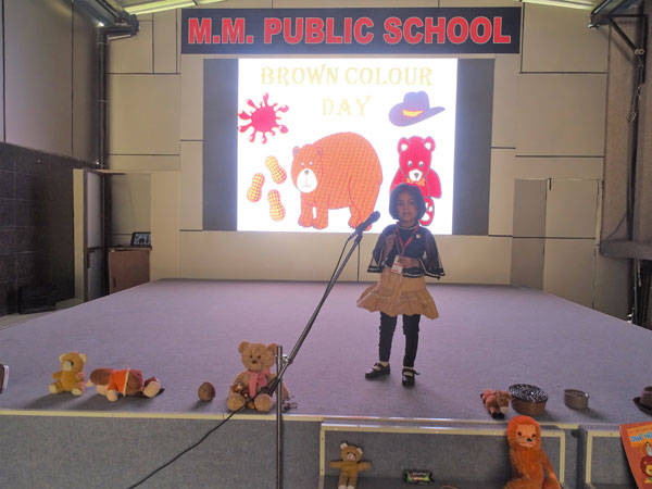 Brown Colour Day Celebration