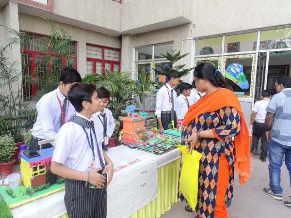 Sharing Curiosities with Community
