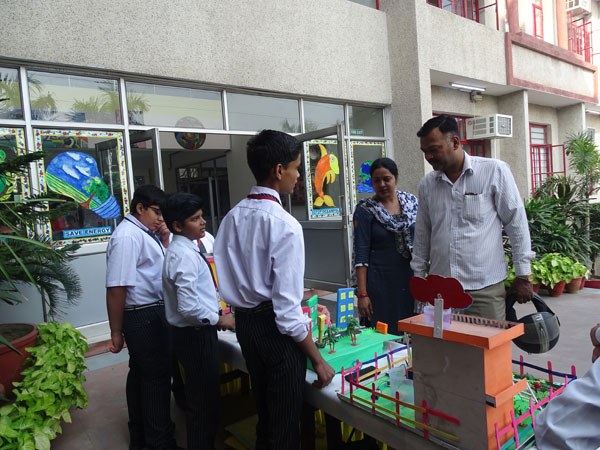 Sharing Curiosities with Community