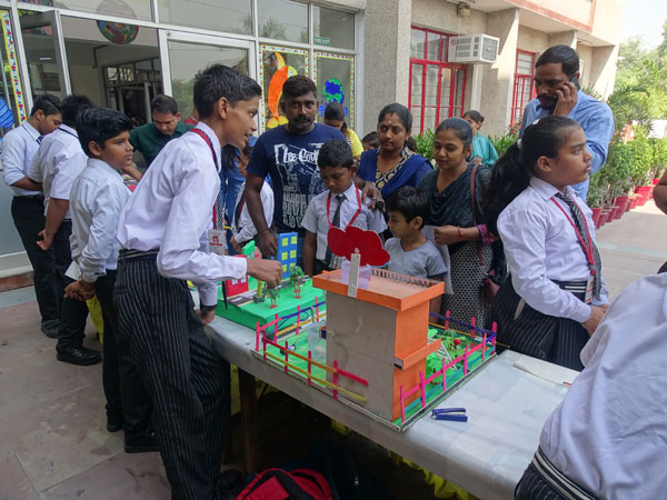 Sharing Curiosities with Community