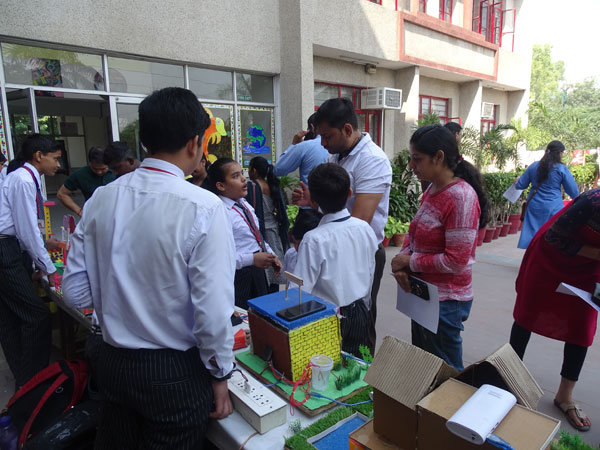 Sharing Curiosities with Community
