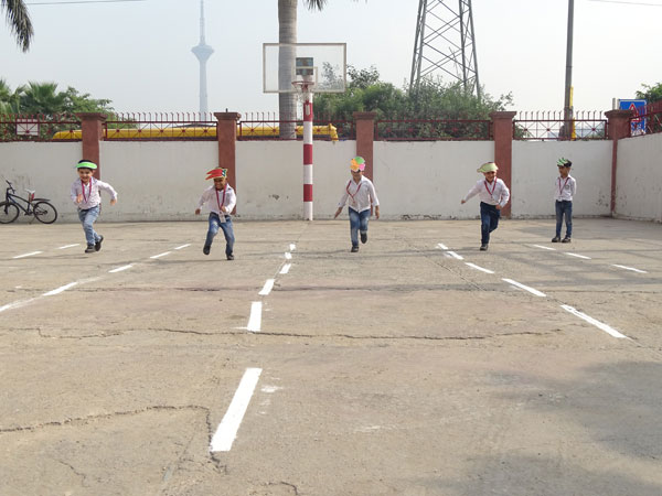 Vegetable Race Competition