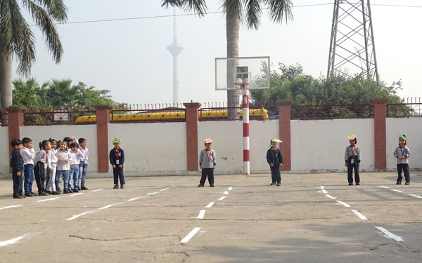 Vegetable Race Competition