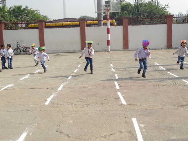 Vegetable Race Competition