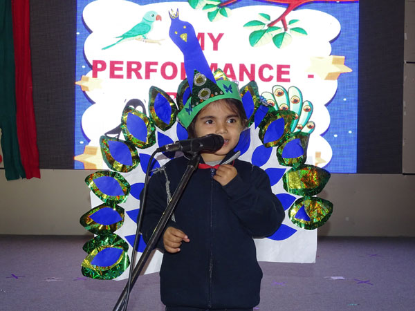 MY PERFORMANCE BIRDS