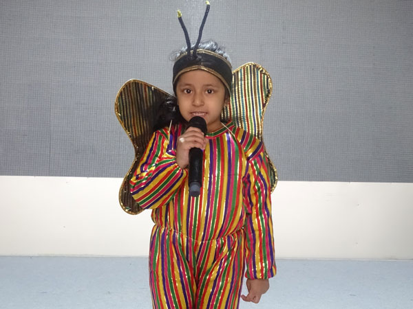 My Performance – Insects