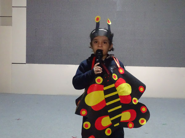 My Performance – Insects