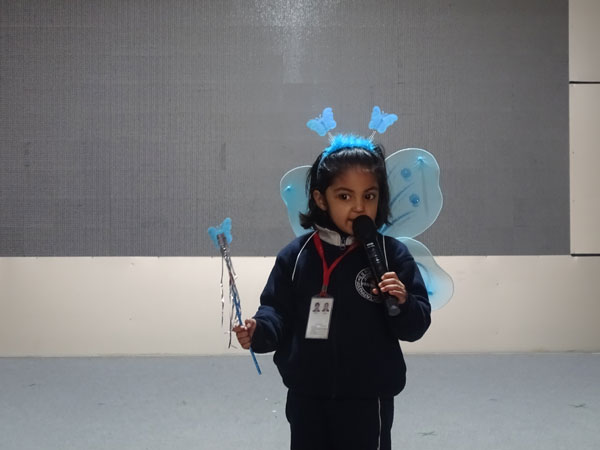 My Performance – Insects