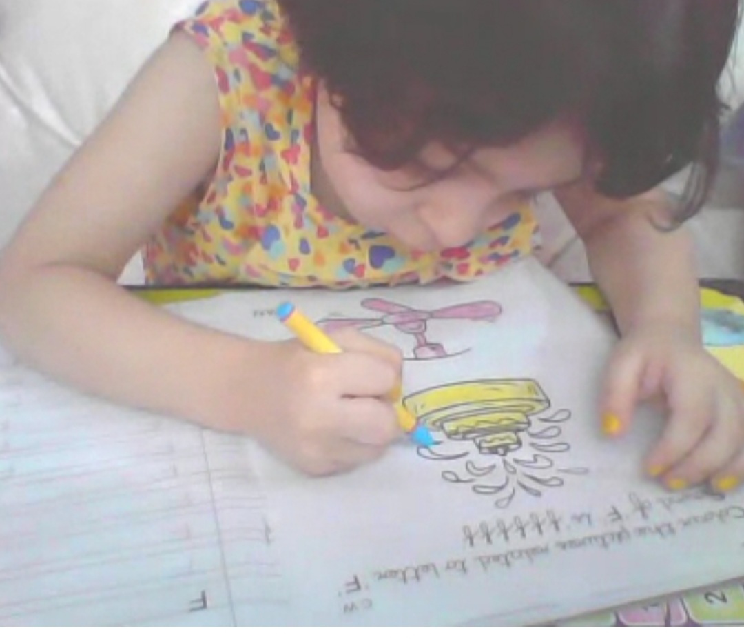 Yellow Colour Day celebration