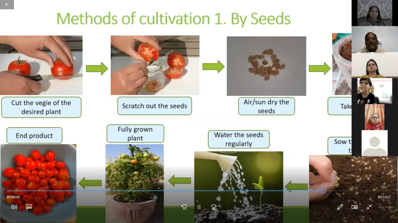 Webinar on Tree Plantation and Organic farming