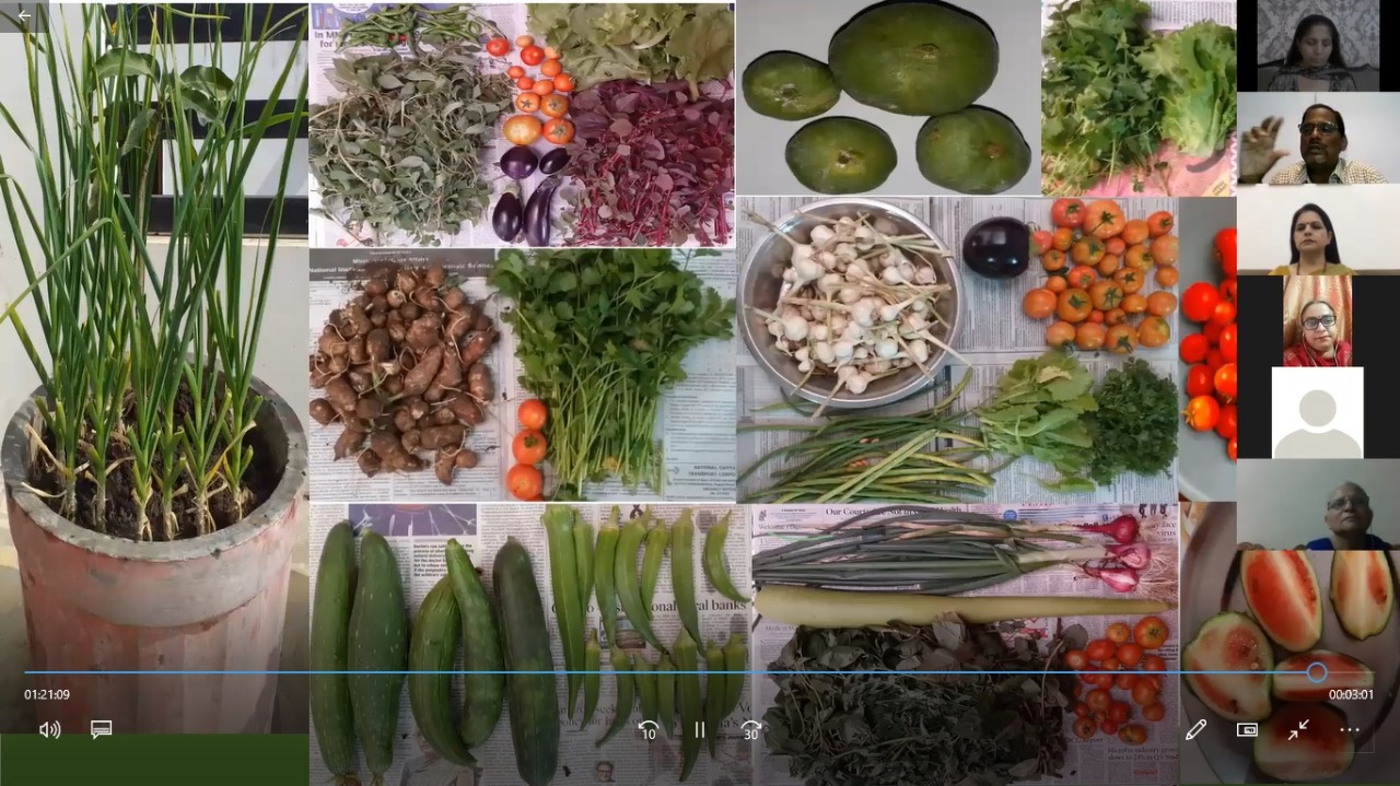Webinar on Tree Plantation and Organic farming