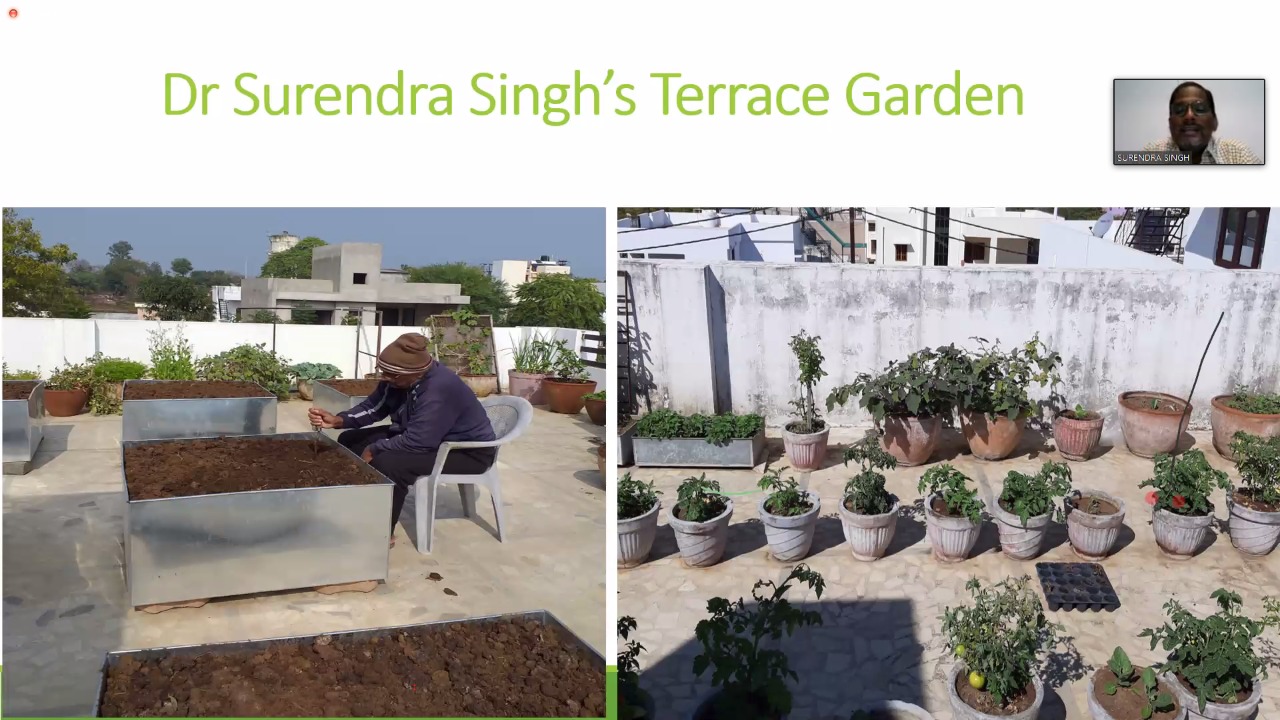 Webinar on Tree Plantation and Organic farming
