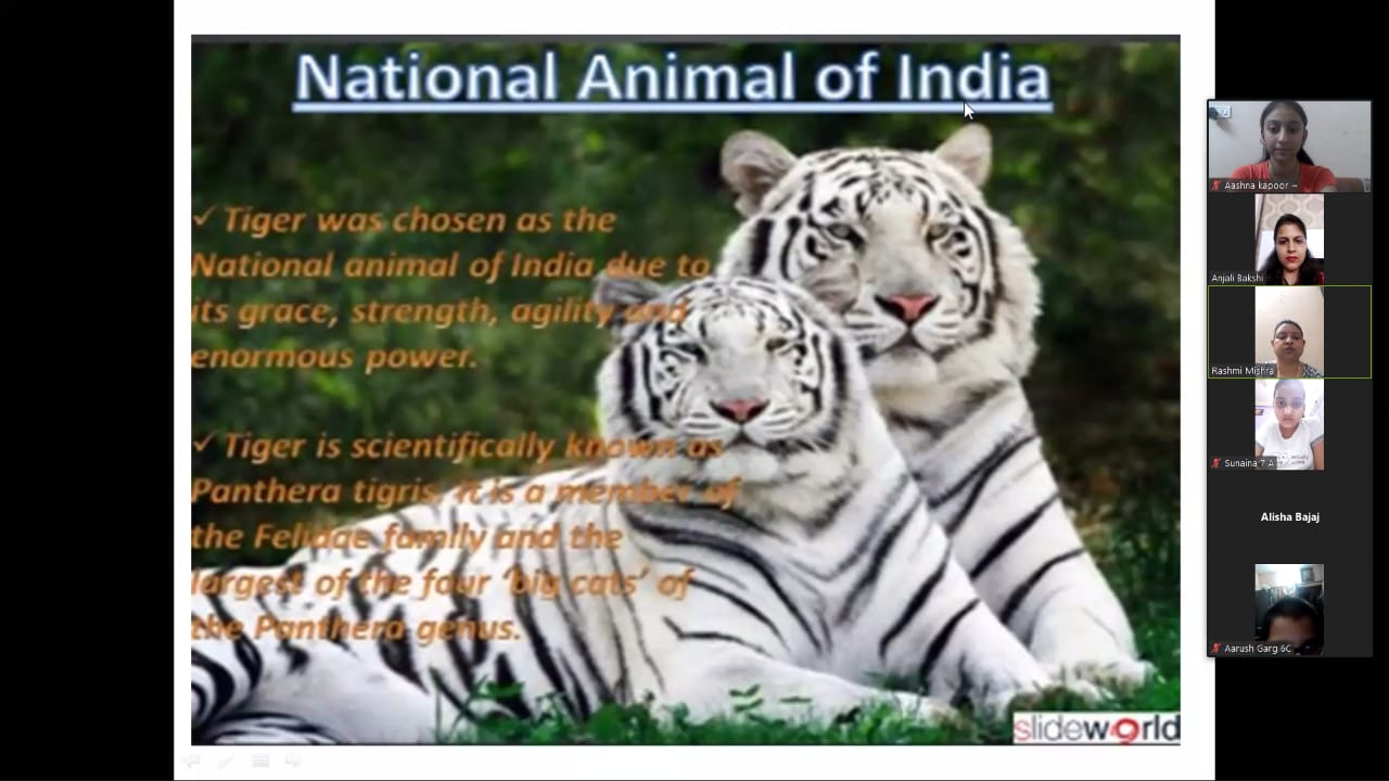 Celebration of International Tiger Day