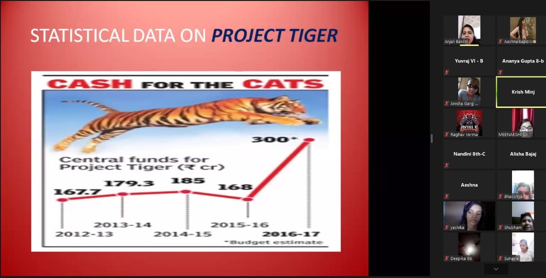 Celebration of International Tiger Day