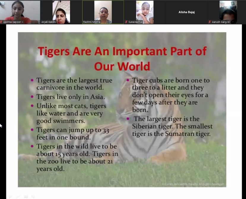Celebration of International Tiger Day