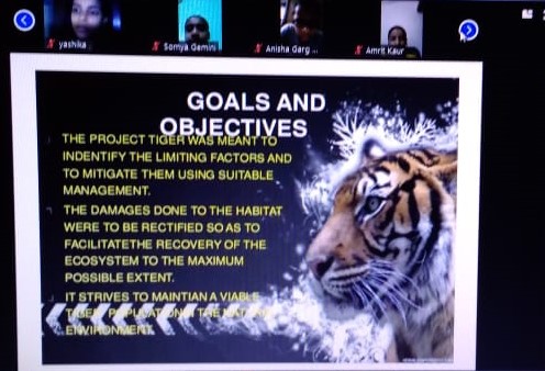 Celebration of International Tiger Day