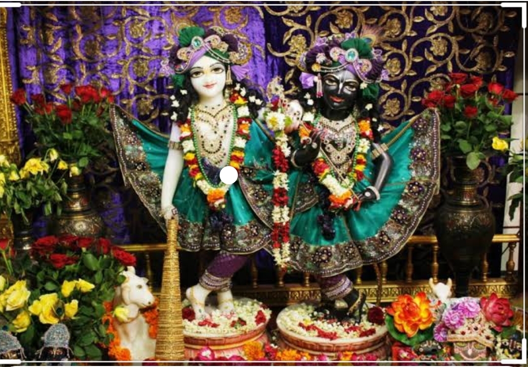 Janamashtami celebration by Pre-Primary kids