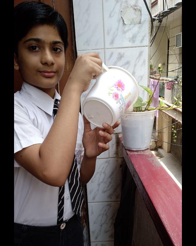 Celebration of Tree Plantation Day by Eco Club
