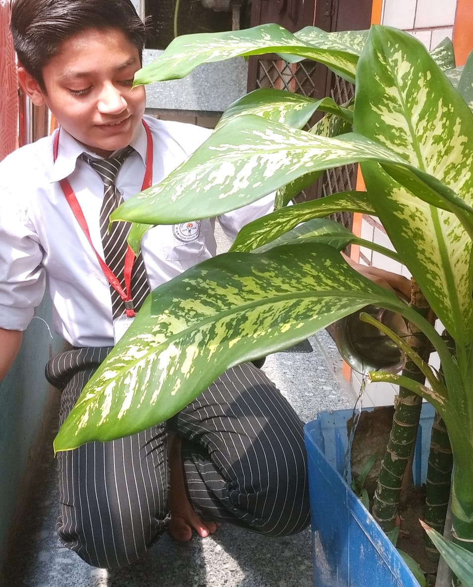 Celebration of Tree Plantation Day by Eco Club