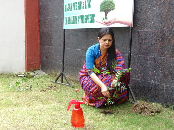 Celebration of Tree Plantation Day by Eco Club