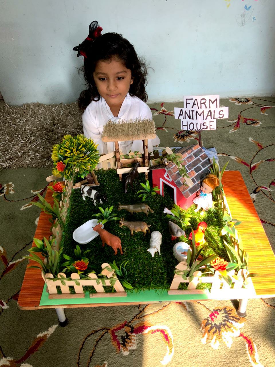 Show & Tell competition