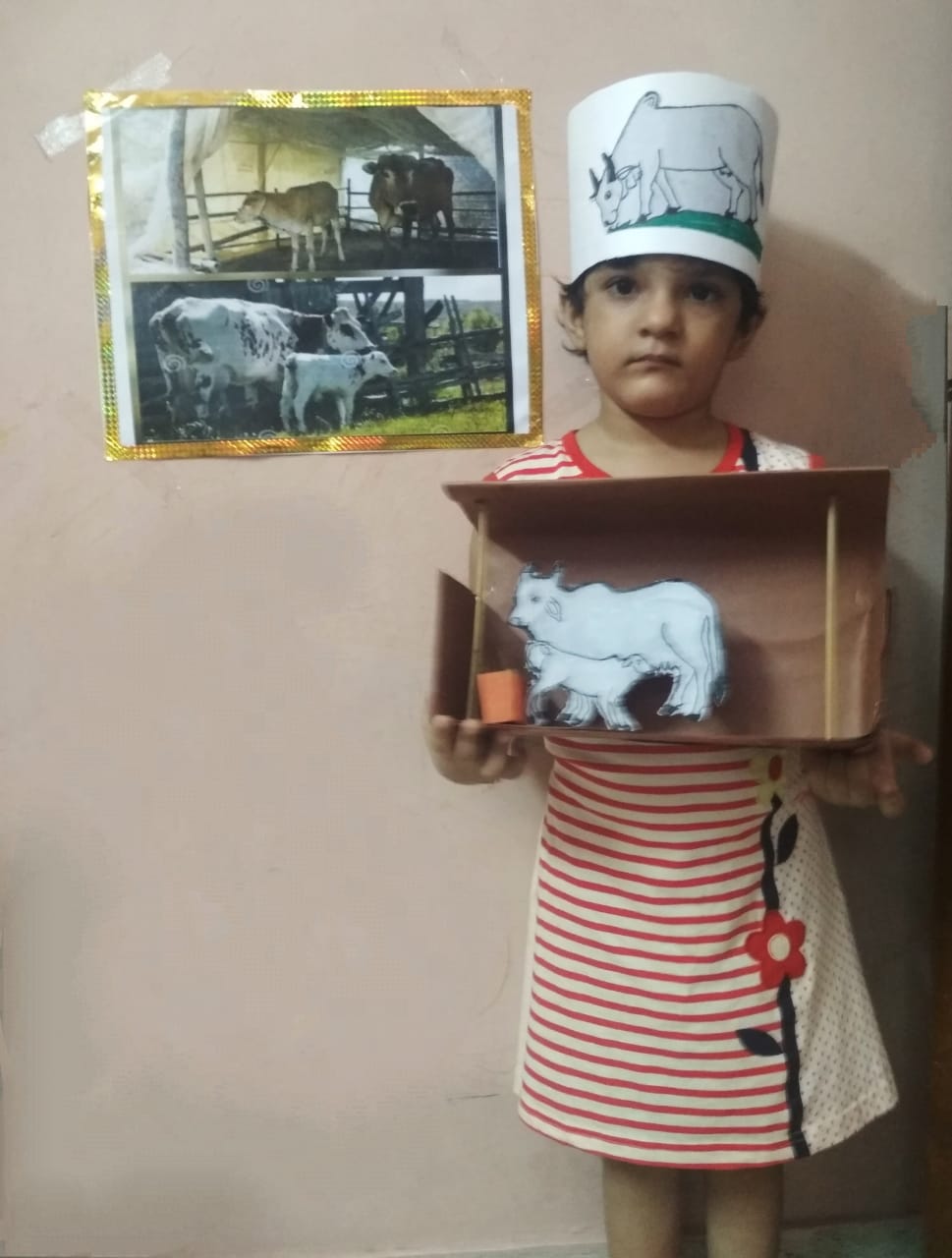 Show & Tell competition