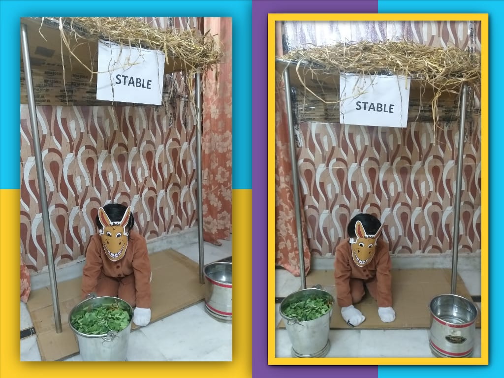 Show & Tell competition